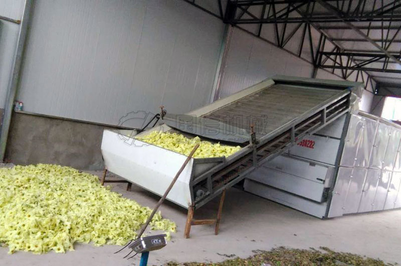 陜西渭南客戶烘干金花葵現場圖片